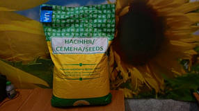 Семена подсолнечника Барса под Гранстар (Палента Технолоджи, Аргентина), урожайный, засухоустостойчивый, (А-F)