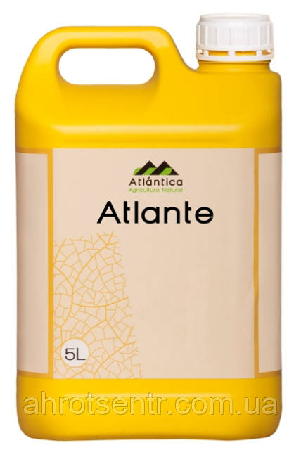 Біостимулятор Атланте (Atlante) 5 л Вітера Atlantica Agricola Іспанія