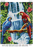 Схема для вышивки Пара попугаев