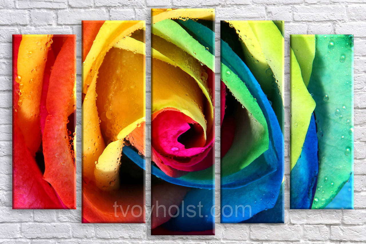 Модульна картина на полотні ДЛЯ ІНТЕР'ЄРУ Різнобарвна троянда