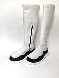 Жіночі зимові черевики Bottega Veneta 32097 білі, фото 4