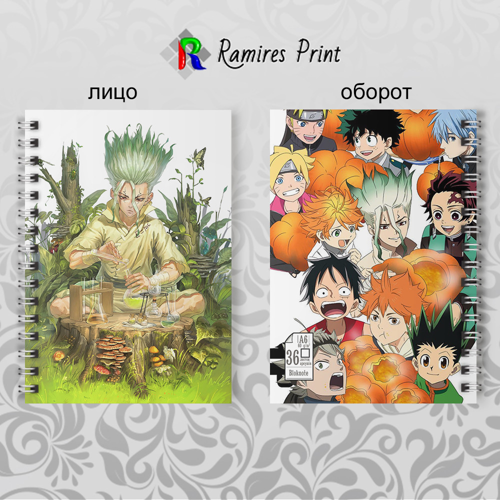 Блокнот на пружині 36 чистих аркушів Dr. STONE 02