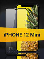 Защитное стекло iPhone 12 Mini (качественное защитное стекло на весь экран)