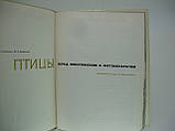 Мальчевський А.С. Головова Е.Н. Пукінський Ю.Б. Птахи перед мікрофоном і фотоапаратом (б/у)., фото 4