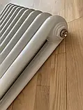 Радіатор дизайнерський Sora 10/1600 Білий матовий 600*1600, фото 6