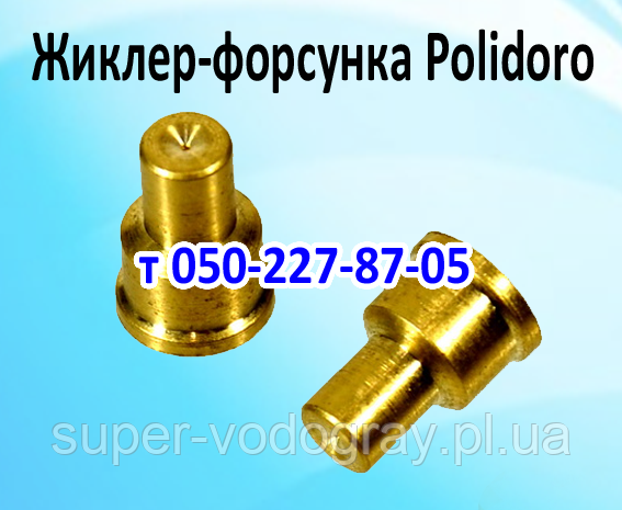 Жиклер Polidoro для газового котла Маяк, Данко, Rio Boiler