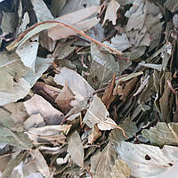 100 г ива/верба белая лист сушеный (Свежий урожай) лат. Sálix álba