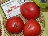 Томат Шапка Мономаха насіння GL Seeds, фото 3