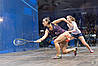 Кросівки Волейбольні Жіночі Asics Gel-Fastball 3 (E762N-403), фото 5