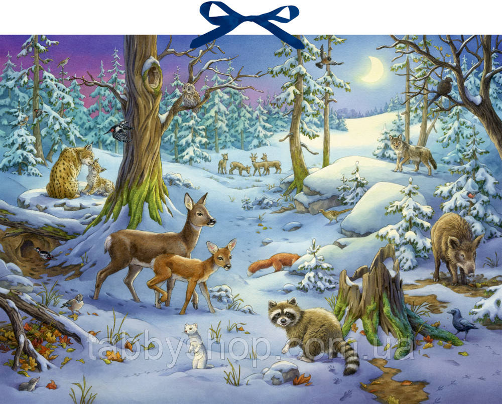 Адвент календарь Spiegelburg со звуками животных - фото 1 - id-p1515812861