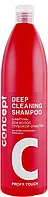 Шампунь глубокой очистки Concept Professionals Profy Touch Deep Cleaning Shampoo 1000 ml