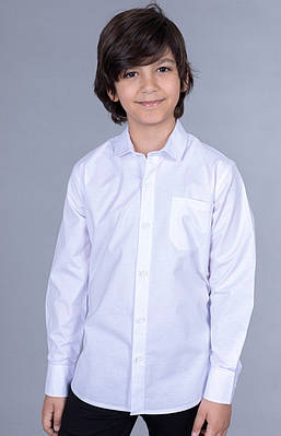 Сорочка BLUELAND біла з довгим рукавом для хлопчика 5-9 років арт.399, Білий, 116