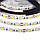 Стрічка світлодіодна біла 12V smd5050 60LED/m IP65, 1м, фото 3