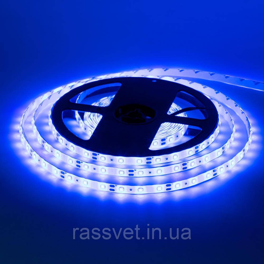 Стрічка світлодіодна синя 12V smd2835 60LED/m IP20, 1м
