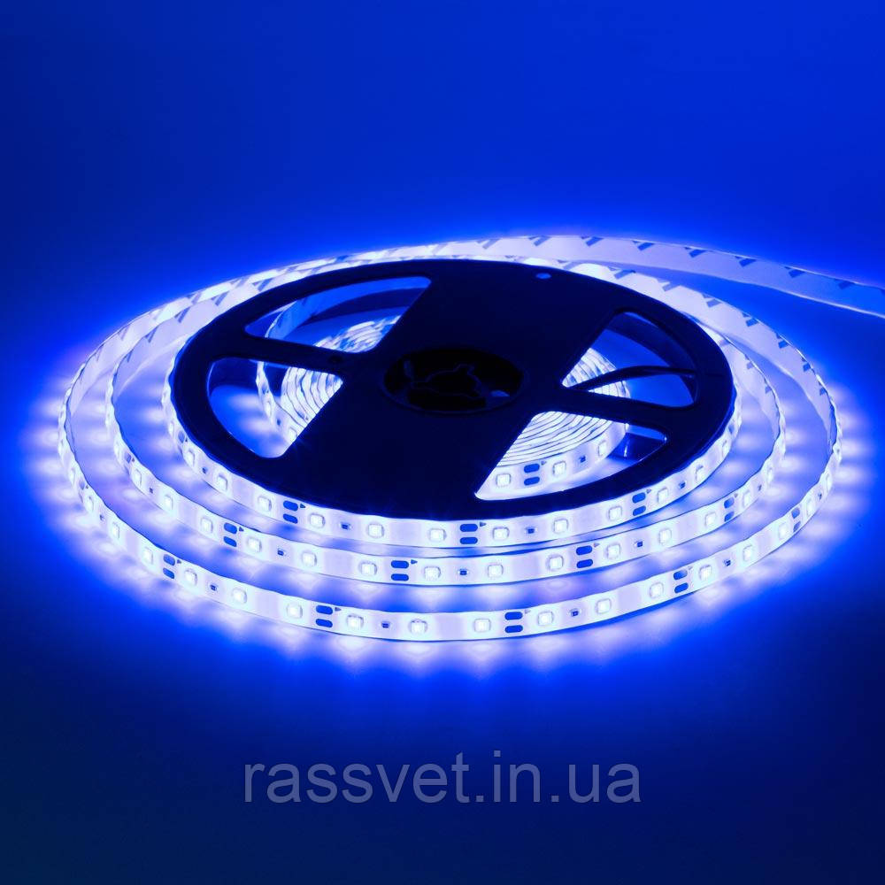 Стрічка світлодіодна синя 12V smd2835 60LED/m IP65, 1м