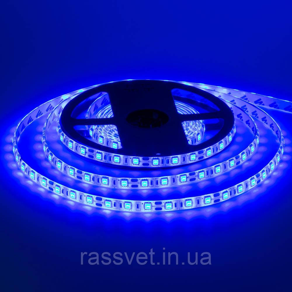 Стрічка світлодіодна синя 12V smd5050 60LED/m IP20, 1м