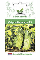 Семена огурцов Надежда F1 20 шт. пчелоопыляемый Seminis