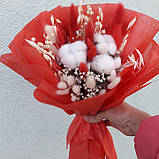 Букет-сухоцвіт( червоно-білий), фото 2