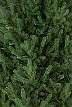 Ялинка лита "Віденська" Зелена 2,10м, фото 8