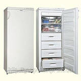 Морозильні камери Дніпро, Snaige, Gorenje, Атлант в наявності та під замовлення, фото 8