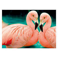 Алмазна мозаїка "Фламінго"
