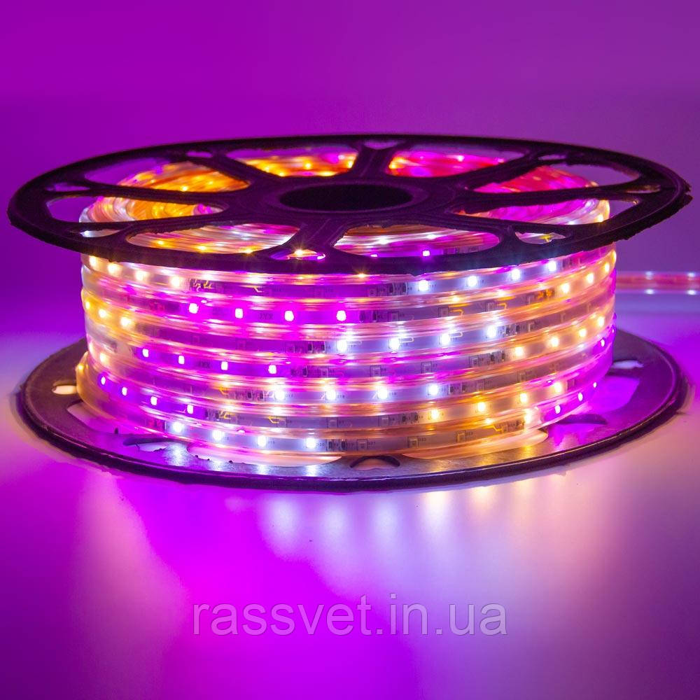 Миготлива стрічка світлодіодна Multi-Color 220V smd2835 48LED/m 6W/m IP65, 1м