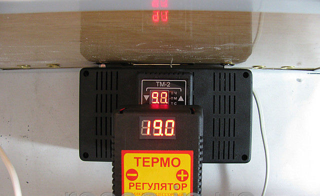 Инкубатор бытовой "Курочка ряба" на 120 яиц с автоматическим переворотом(цифровой терморегулятор) - фото 2 - id-p236952649