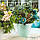 Горщик для квітів Kapadokya 1,4 л прозорий, фото 8
