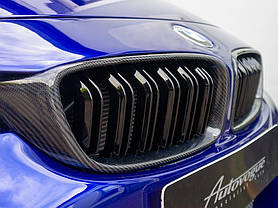 Решітка радіатора BMW (БМВ) 3 series (F30) 2012-2019 Карбон 2 ребра, фото 3