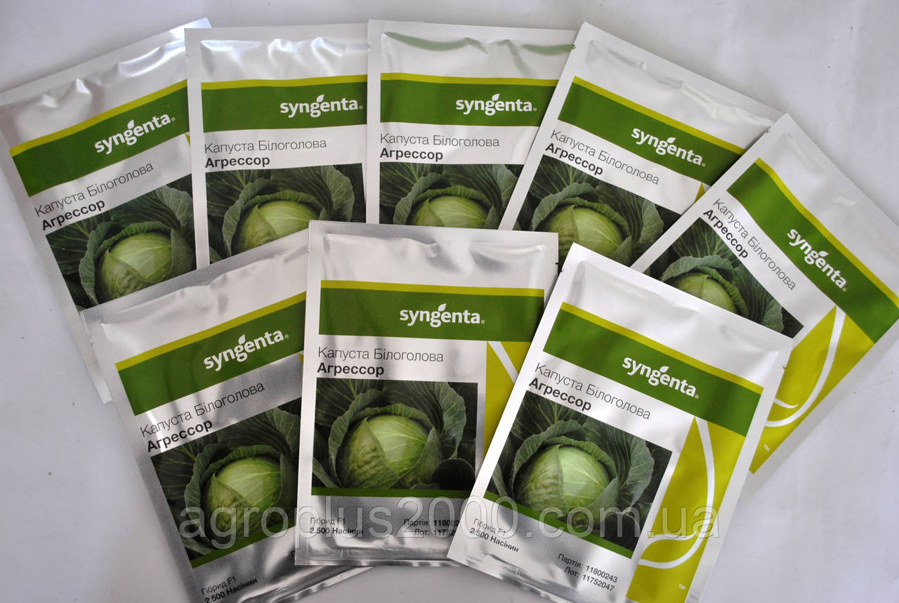 Насіння Капуста білокачанна пізня Агресор F1 (фр.1.75- 2.0) 2500 насінин Syngenta