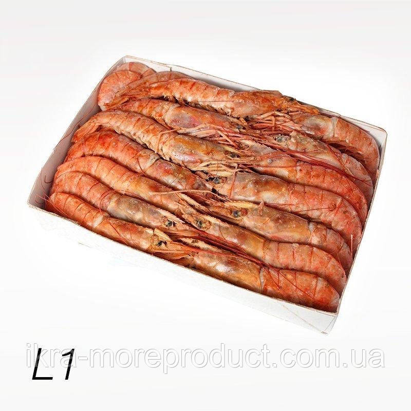 Я не хочу тратить так много времени на лунный крюк террария. А ты? Я не хочу тратить так много времени на лунный крюк террария. А ты?