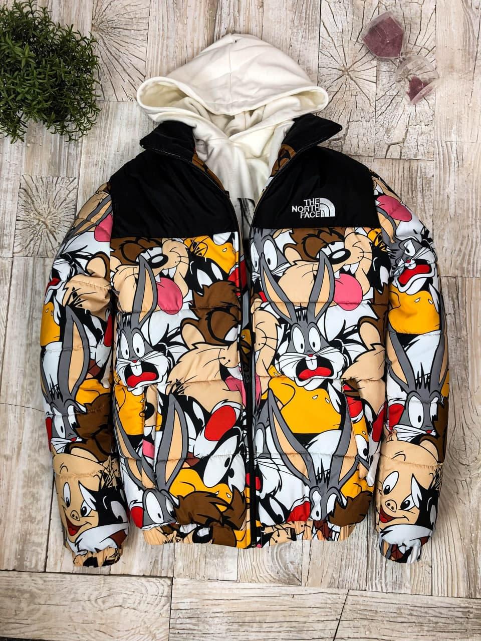 Куртка мужская зима-весна-осень разноцветная с принтом The North Face (TNF) Bunny
