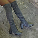 Замшеві ботфорти на підборах, фото 6