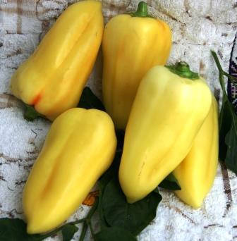 Насіння перцю Білосніжка, фото 1