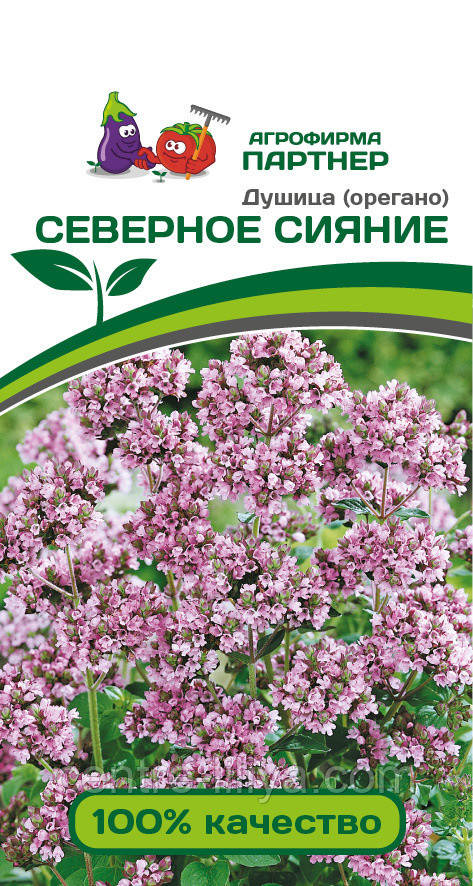 Насіння Материнка (орегано) Північне Сяйво 0,1 г Партнер, придатний до 2023 р.