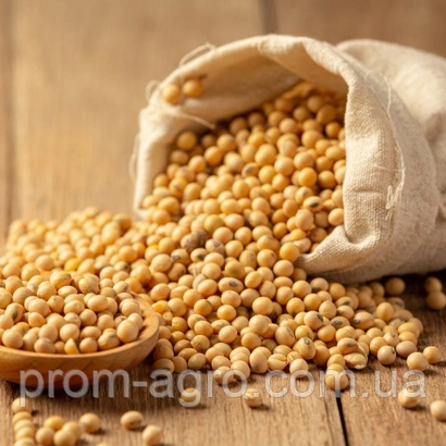 Соя Адесса насіння Єліта 2025 ультра рання, фото 1