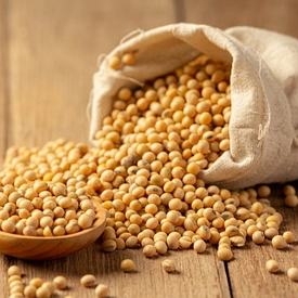 Соя VS 00 насіння Єліта 2025 ультра рання