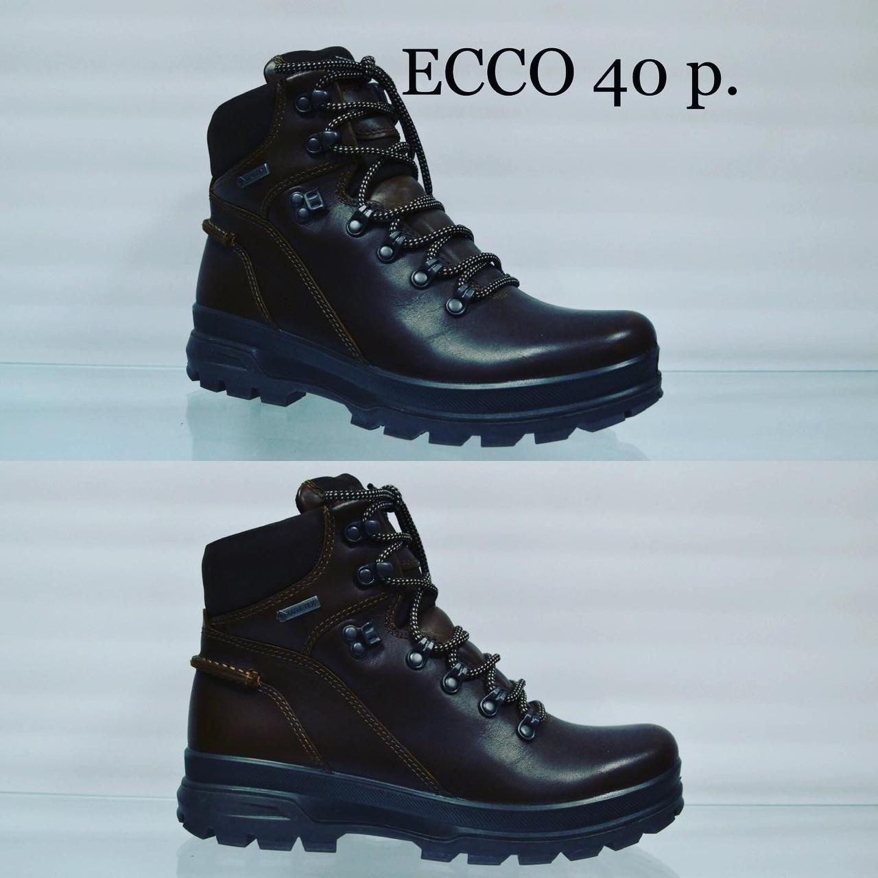 ecco 40