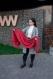 Однотонний кашеміровий палантин жіночий теплий з бахромою якісний гарний стильний червоного кольору, фото 3
