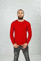 Червоний Молодіжний Чоловічий светр реглан-смужка