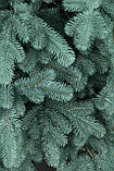 Ялинка лита "Ковалівська" Блакитна 2.10м, фото 2
