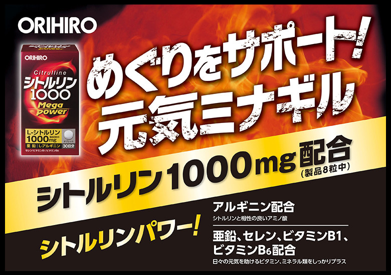 Mega Power 1000 Цитрулін, Протеїн, Вітаміни, Цинк, Селен 240 шт. на 30днів, Orihiro, Японія, фото 1