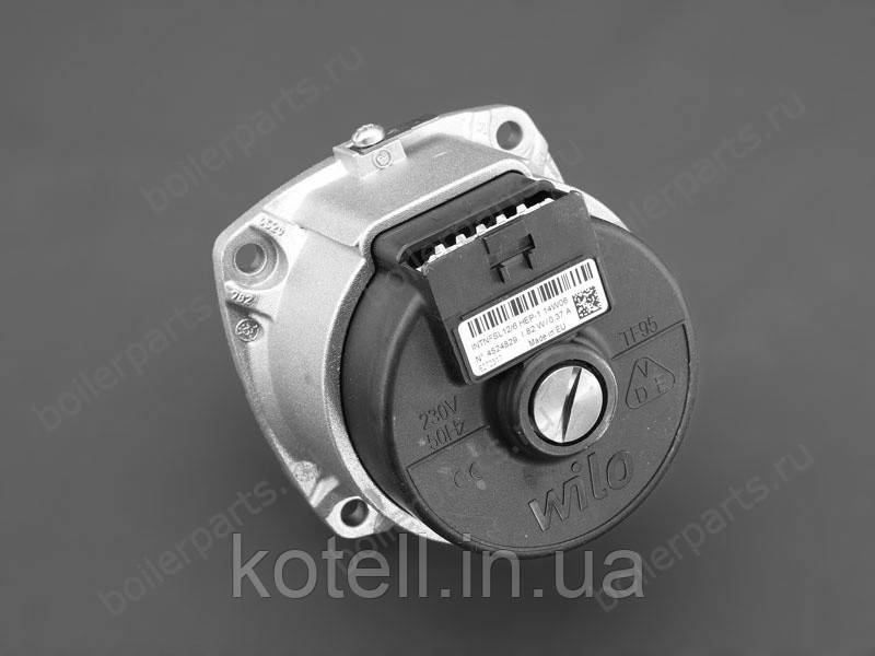 Двигун циркуляційного насоса BAXI Eco Compact, Baxi Main 710820200