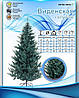 Лита ялинка штучна Віденська 250 см Ялинка класична новорічна розбірна пластик Блакитна, фото 6