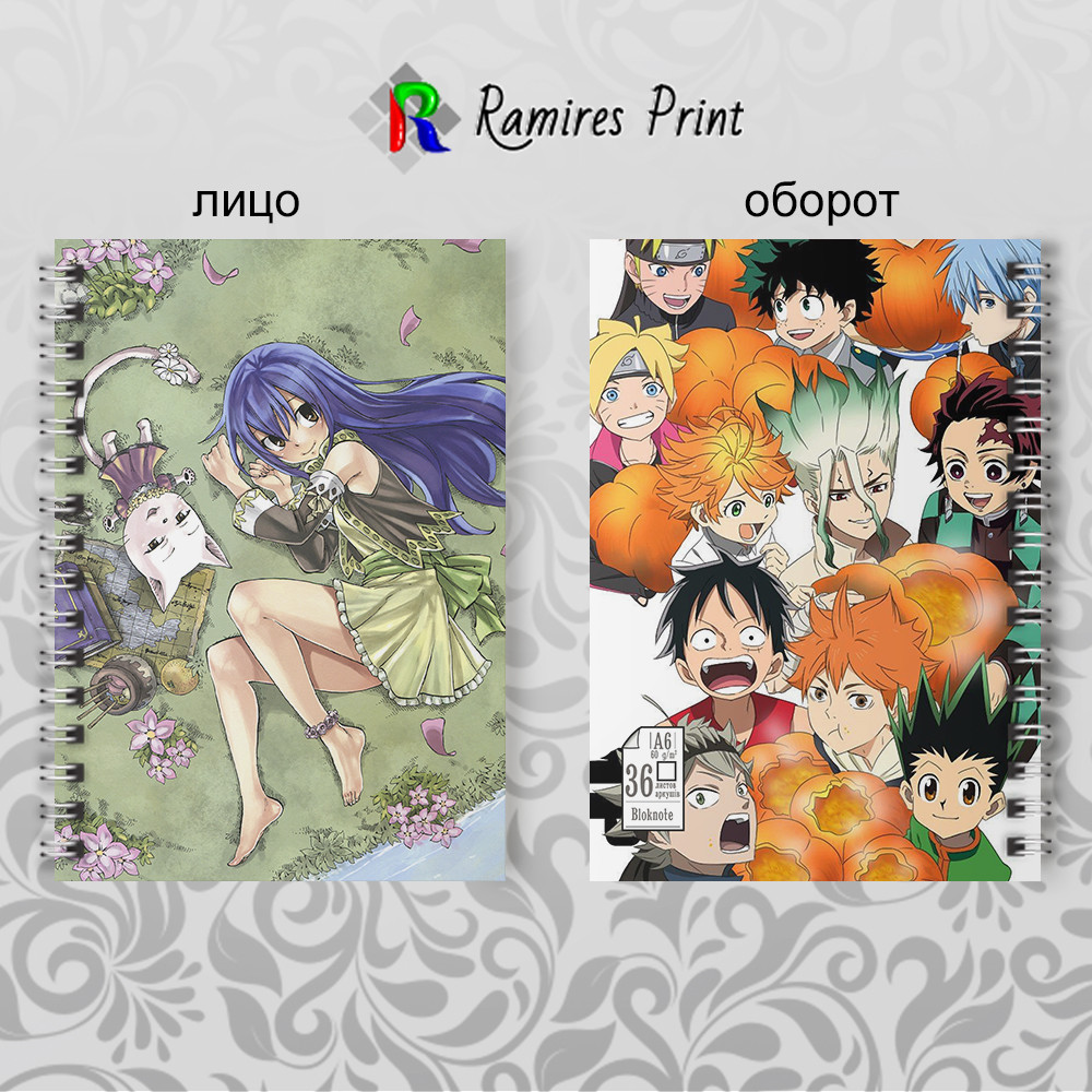 Блокнот на пружині 36 чистих аркушів Fairy Tail 11