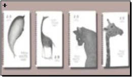 Скетчбук на спіралі "Тварини"21*28,7 см 1шт/етик