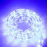 Вулична гірлянда дюралайт холодний білий 100 м, світлодіодна стрічка гірлянда прозорий шланг, LED стрічка, фото 6