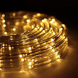 Вулична гірлянда дюралайт жовтий золотий теплий білий 100 м, світлодіодна стрічка гирлянда прозорий шланг, фото 4