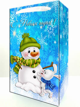 "Новий Рік" - Пакет 21/12/6 см. В3 Укр