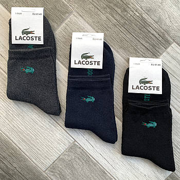 Шкарпетки чоловічі спортивні махрові бавовна Lacoste, розмір 41-45, середні, асорті, 01277